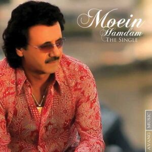 دانلود آهنگ معین به نام همدم